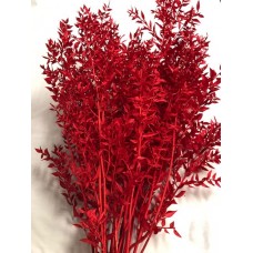 RUSCUS COLORS  RED- 